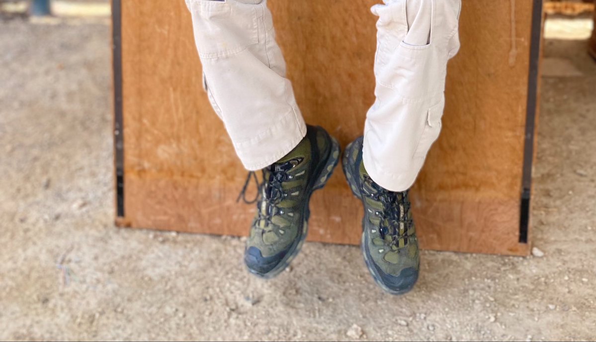 Chiefdom tweet media