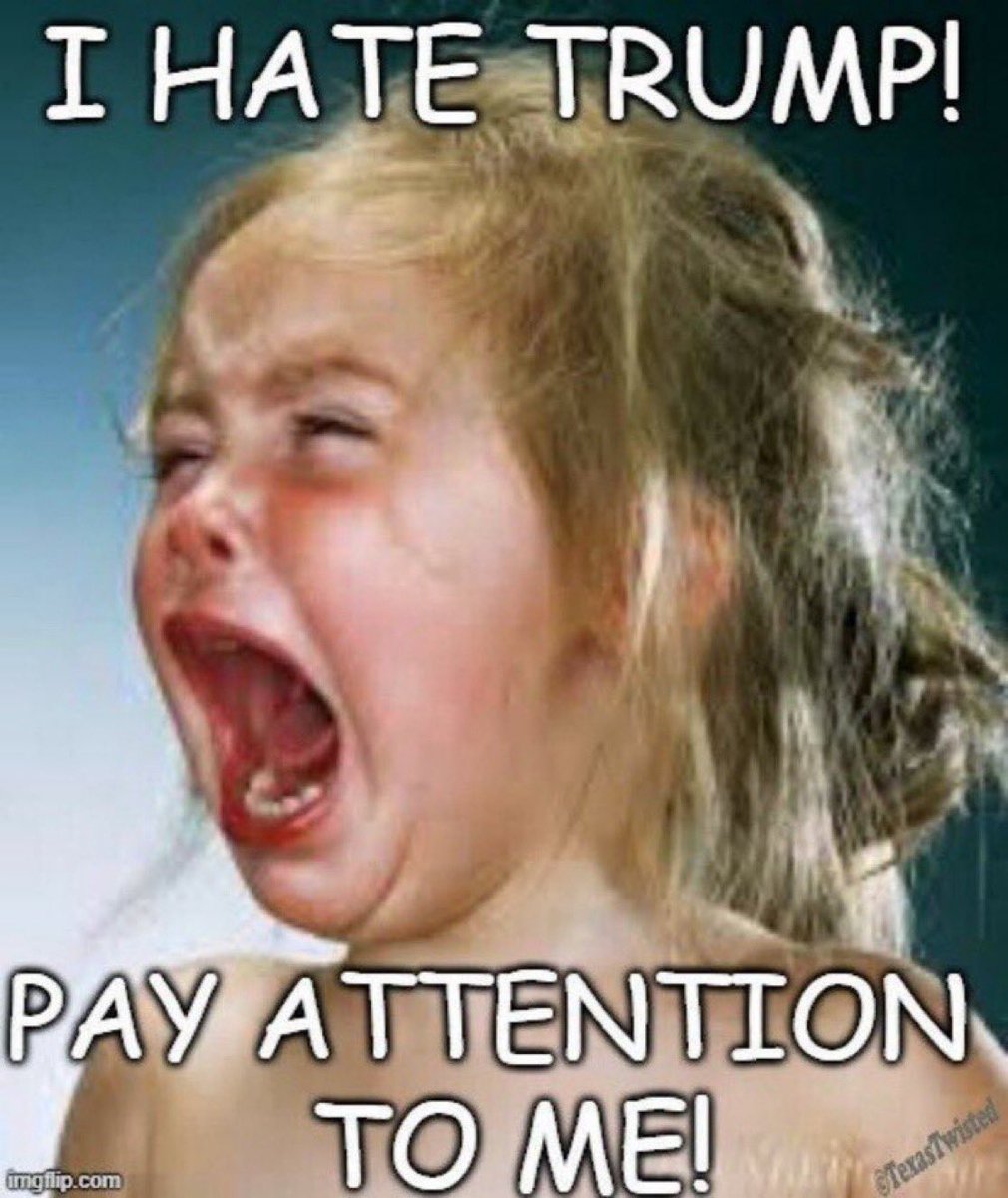 Linda Traitz tweet media