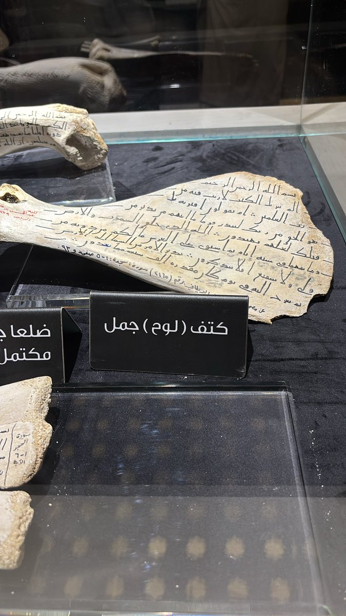 غيثه العيسي tweet media
