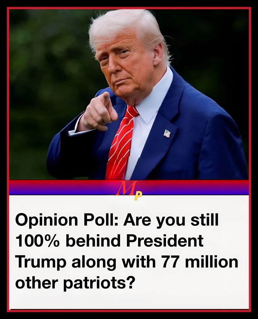 US Homeland Security News tweet media