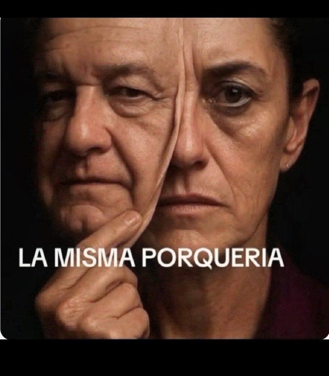 Elizabeth Padilla tweet media