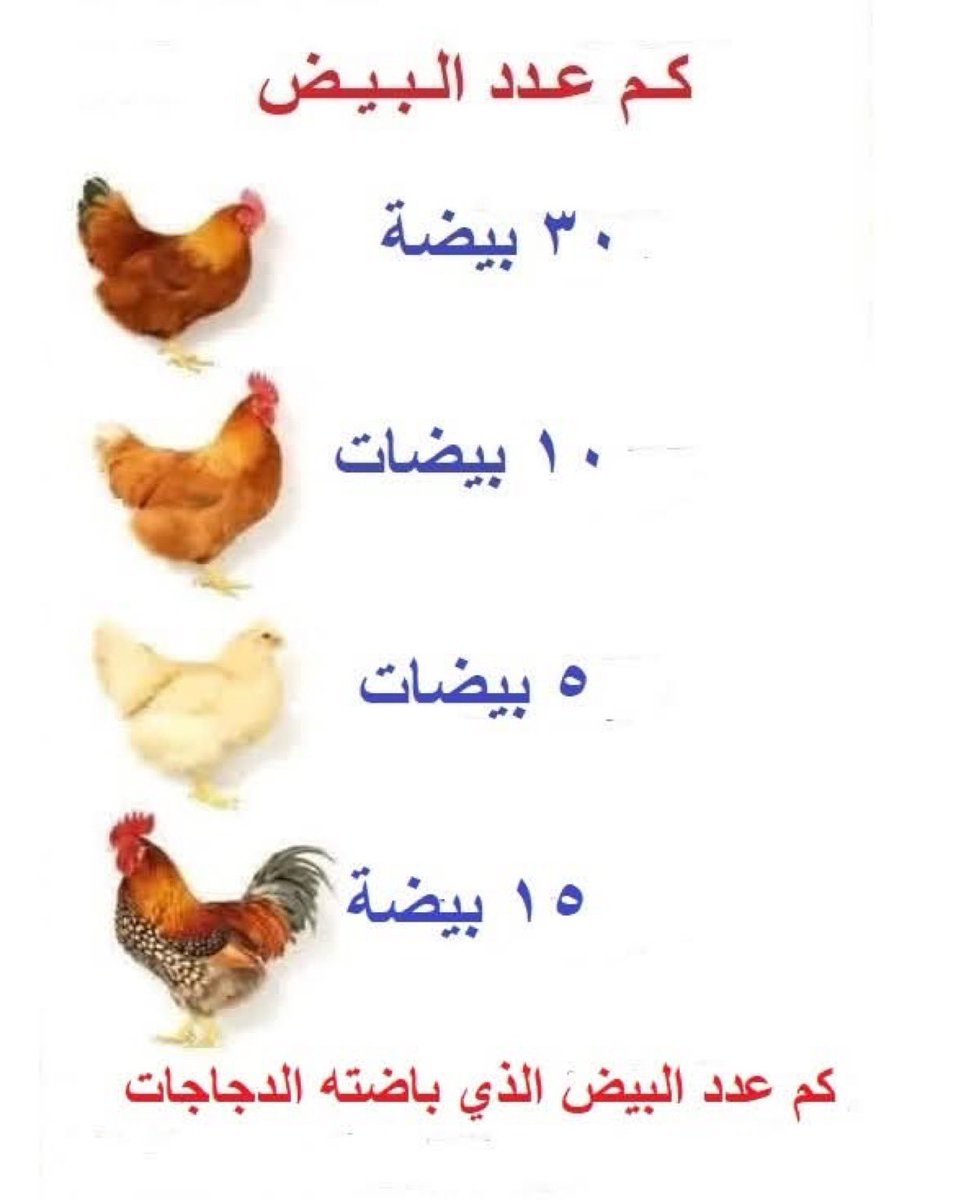 سقراط🌟 tweet media