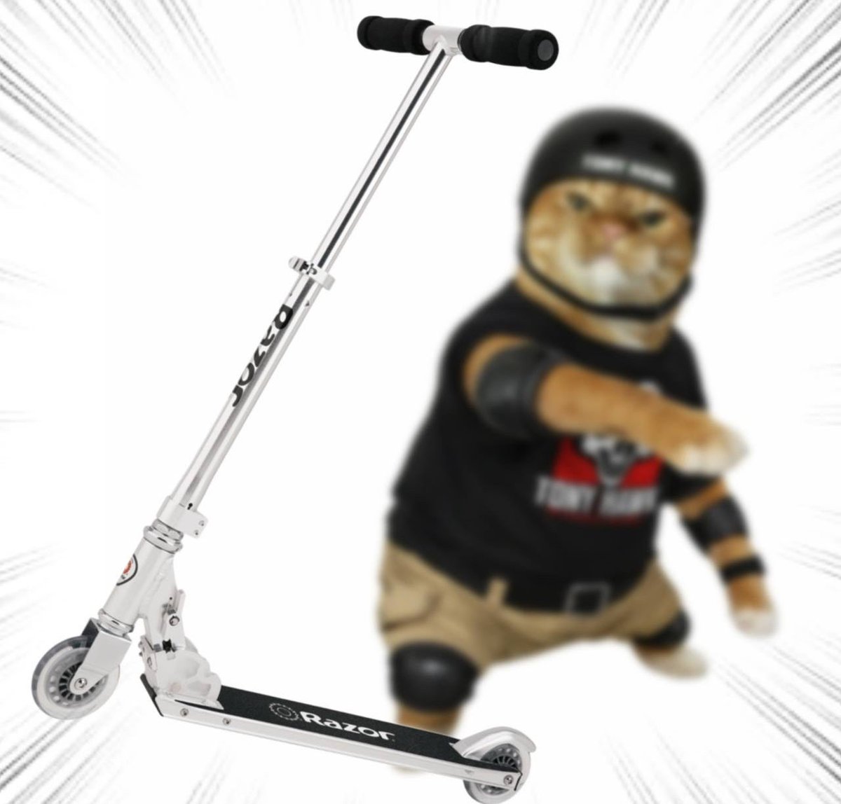 Throwing Things Daily tweet media