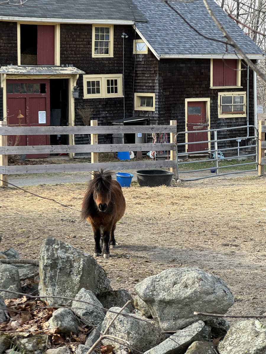 Marc McMullen tweet media