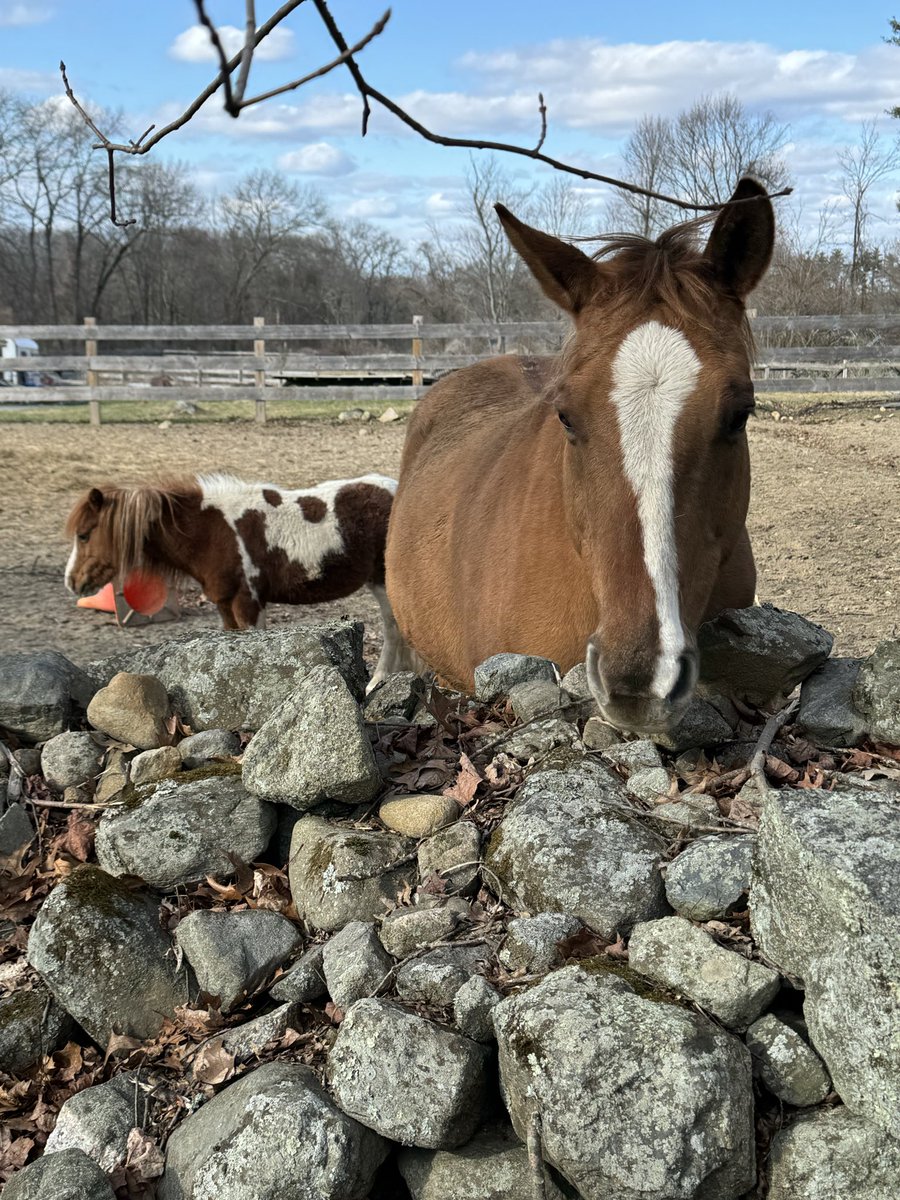 Marc McMullen tweet media