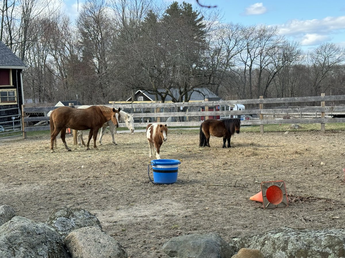 Marc McMullen tweet media