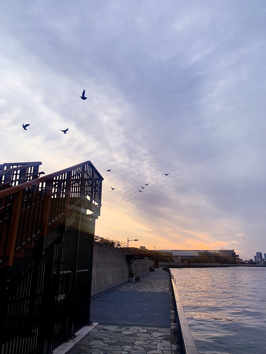 tam-tam🎰 tweet media