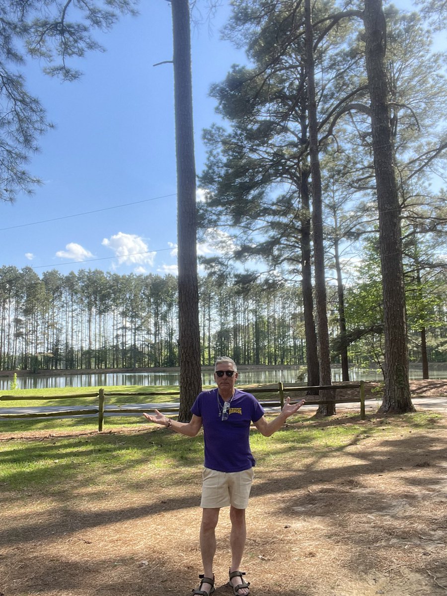 Gregory Borse tweet media