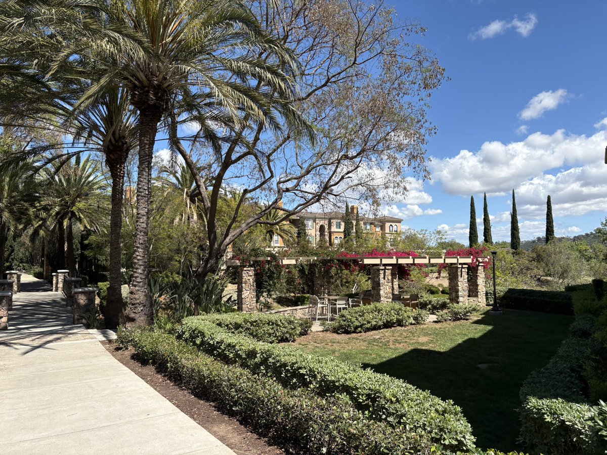 Ron Sovereignty Swanson⚡️🗝️ tweet media