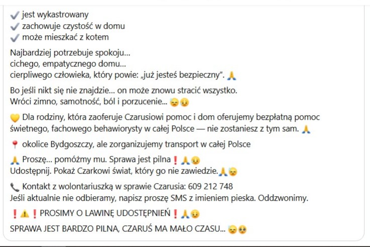 Robwalka Wolf tweet media