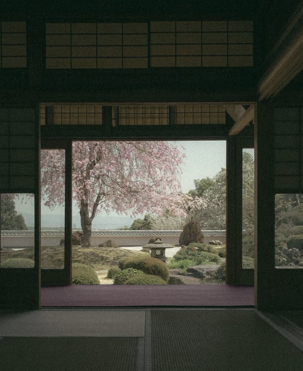 Mishima’s Head tweet media