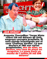 alber cari tweet media