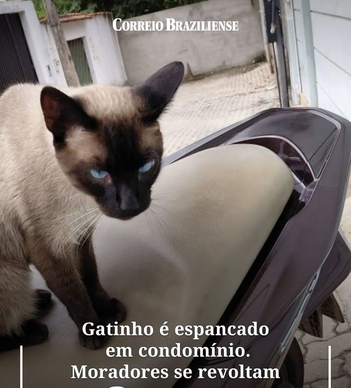 Lola 🧠🎯 tweet media