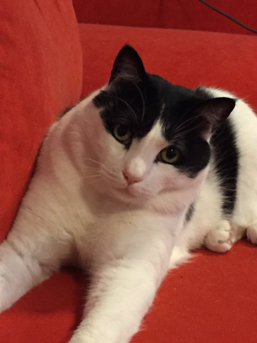 Lizzie Maher tweet media