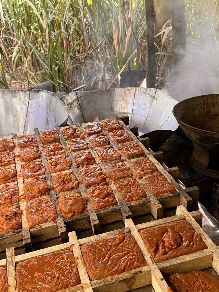 Melquisedec Torres tweet media