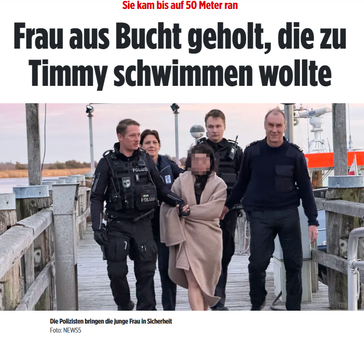 Peter Borbe tweet media