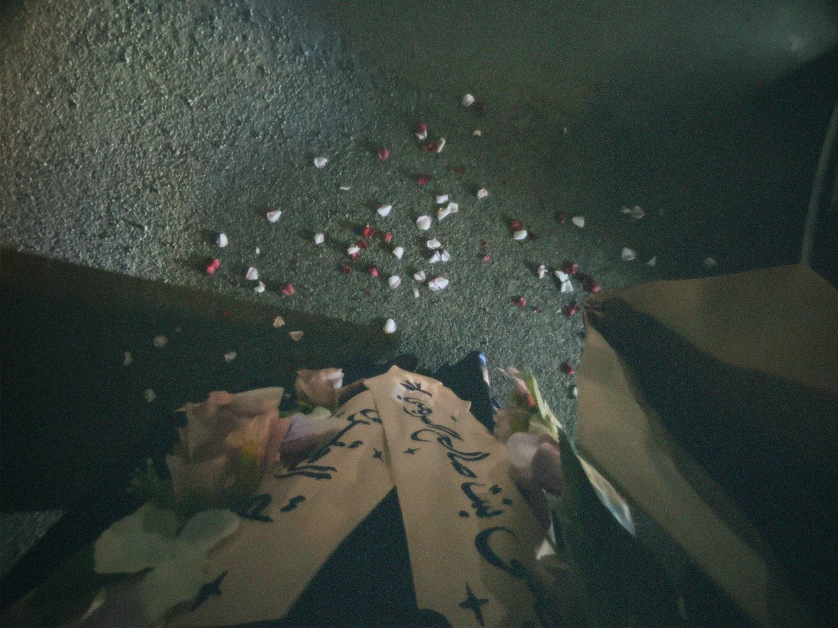 جنى السريحي | 👩🏻‍⚖️🌱| #ميدان_العدل tweet media