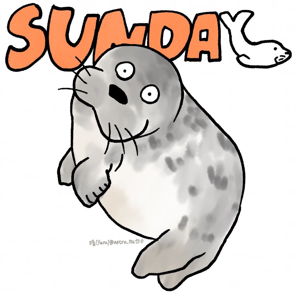 晴(Haru) tweet media