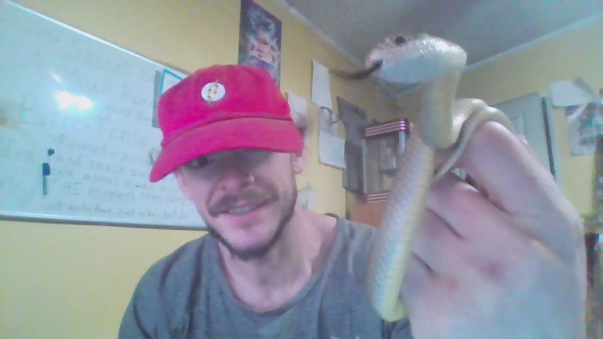 Guard Snake Photo Spill (Garter-Snake) <a href="/Dogtugflem/">Yuri Dudik</a>