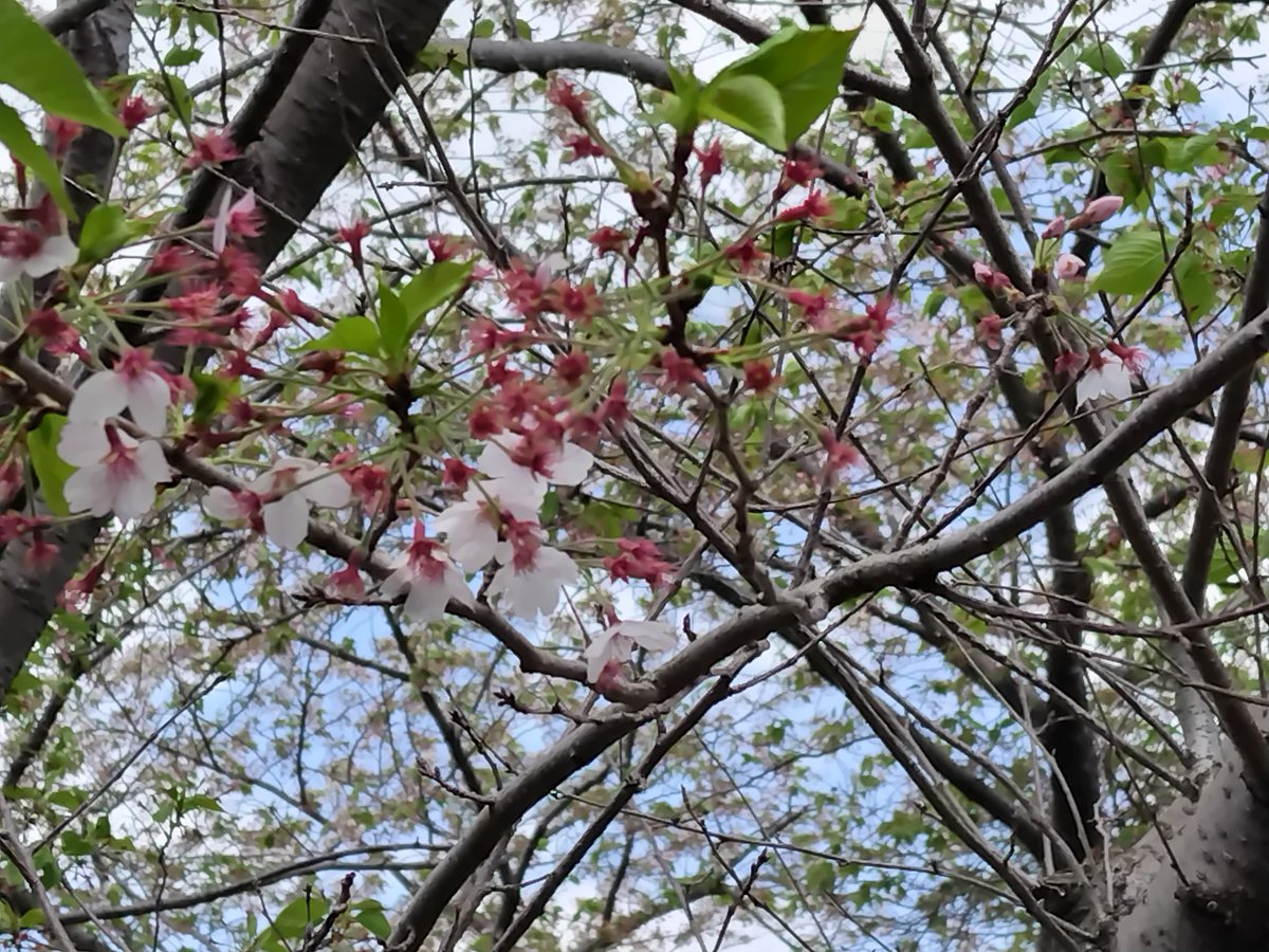 きょうか🐰いつも笑顔と感謝🐰 tweet media