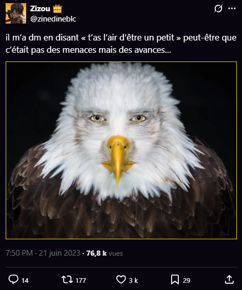 EybiTE 🇩🇿🇵🇸🫀 tweet media