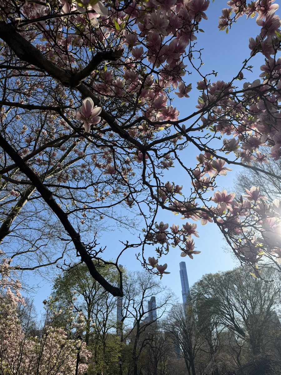 Jose Luis tweet media