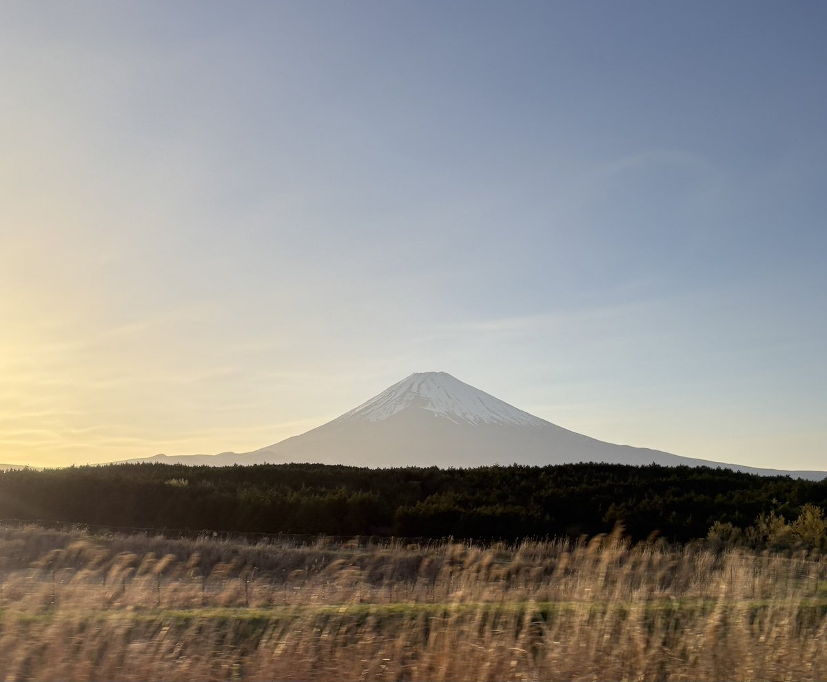 労働者側🕵️‍♀️労働相談 tweet media