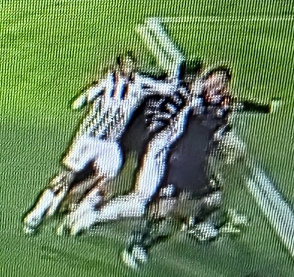 Diogo Bernardo 🏆🏆🇳🇬 tweet media