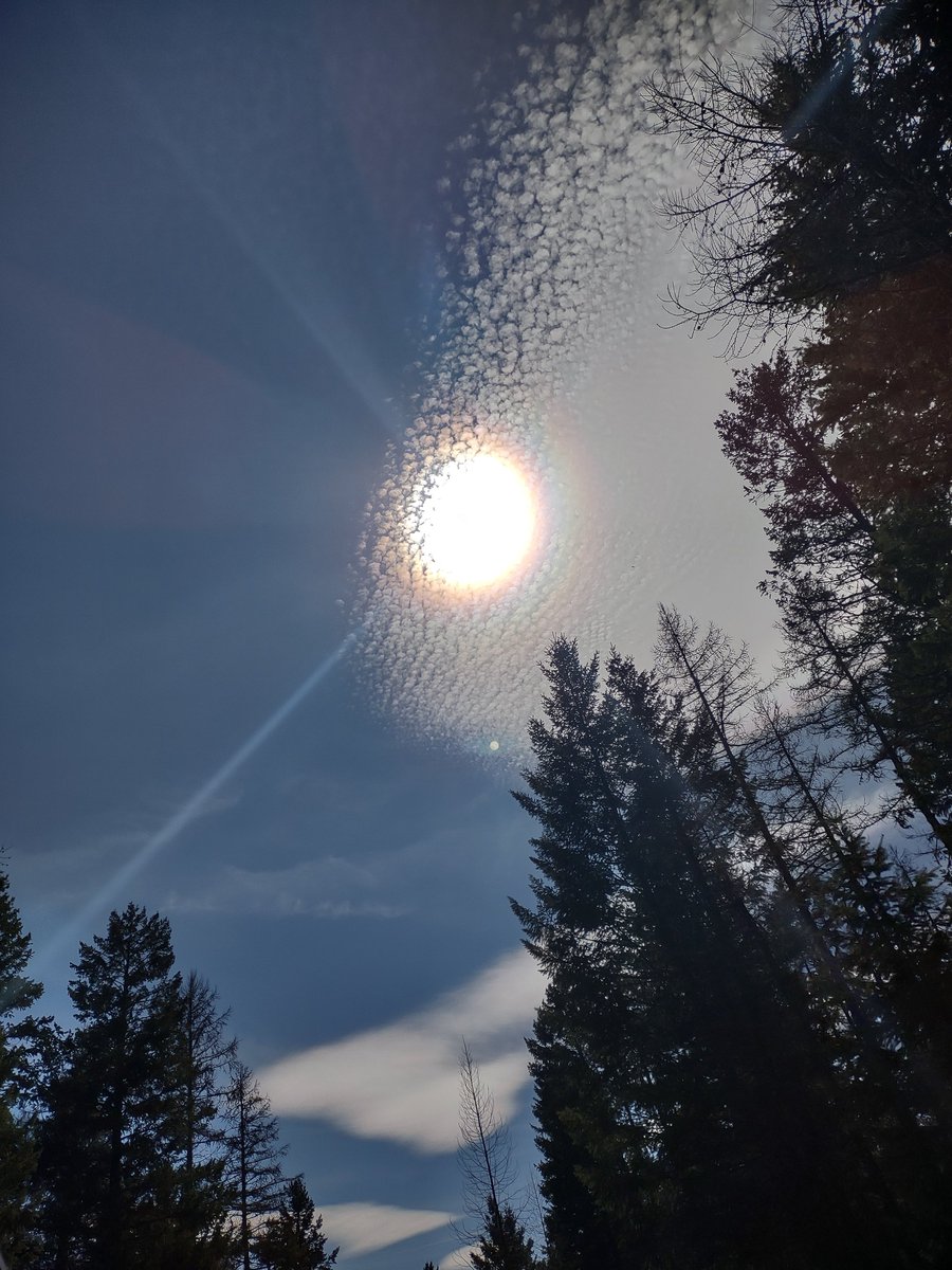 Edith Herskind tweet media