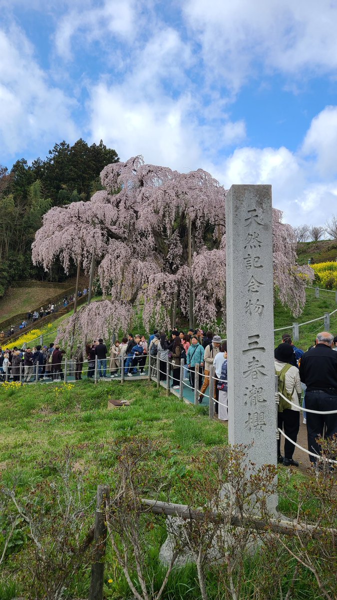 埼玉のNK tweet media