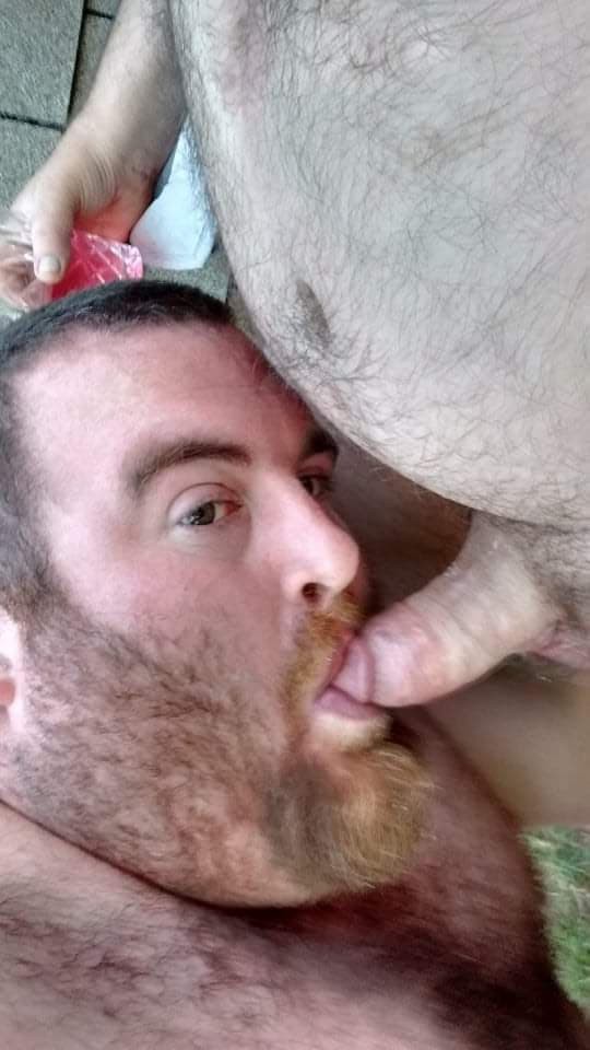 Gay Redneck 86 tweet media