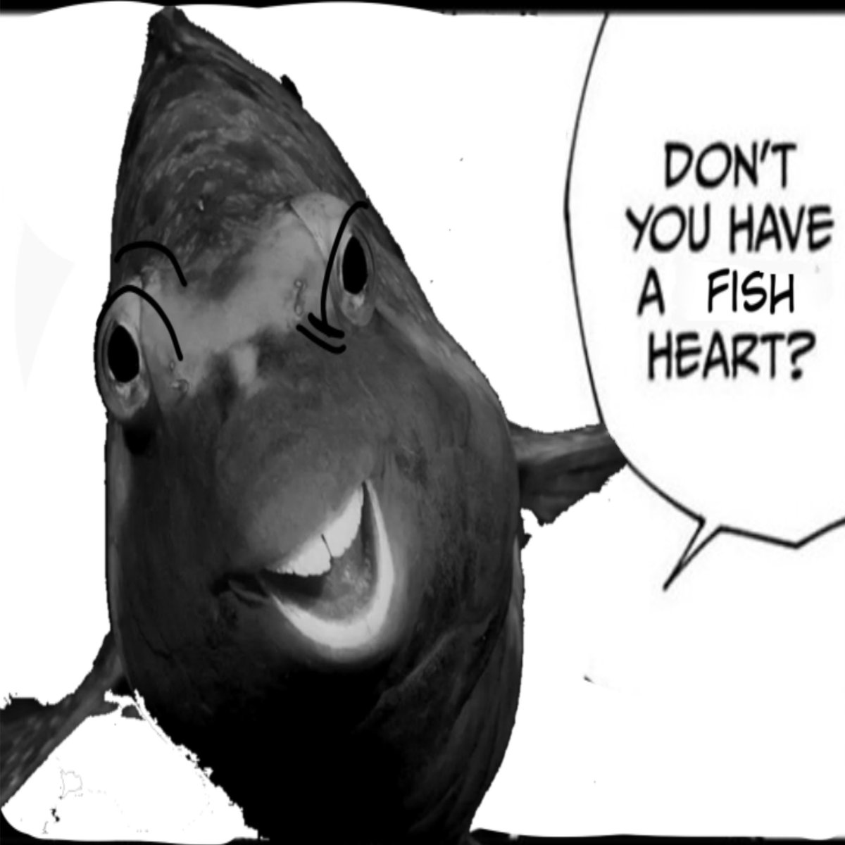 AmirELB-🪽 tweet media