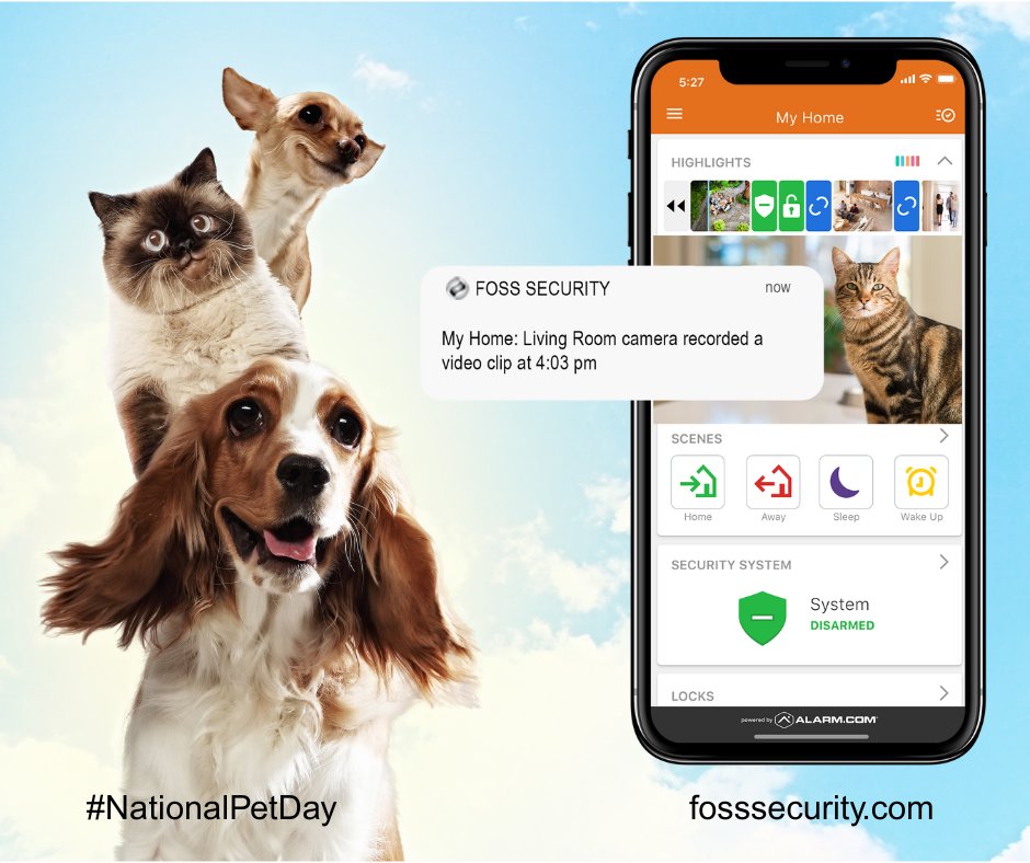 Foss Security tweet media