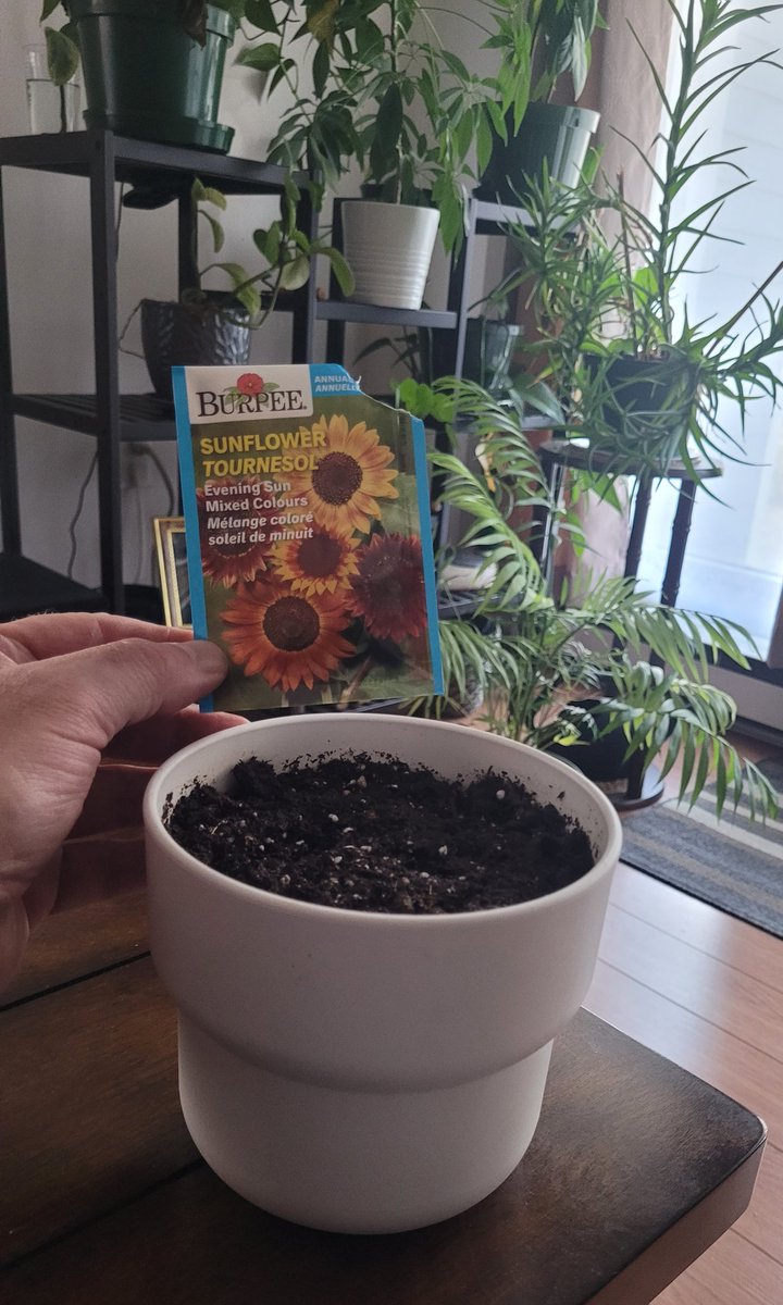 I.T. Paul tweet media