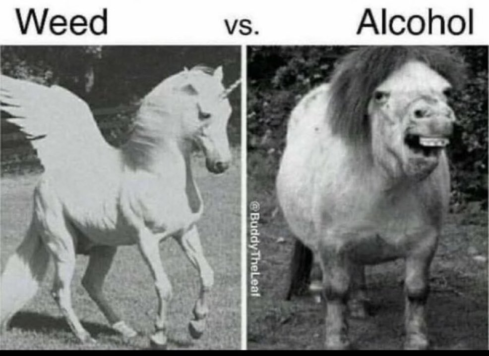 Charly Grown tweet media