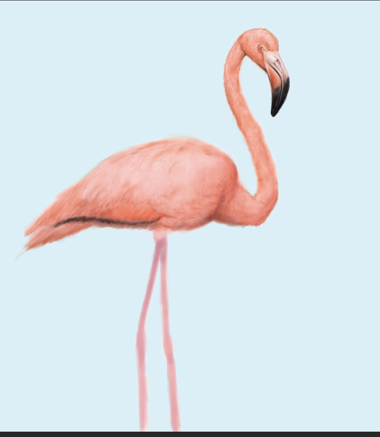 Cookieクッキー tweet media