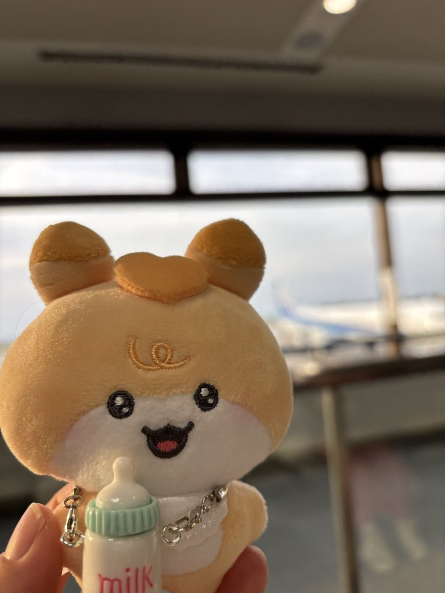 なO🐰 tweet media