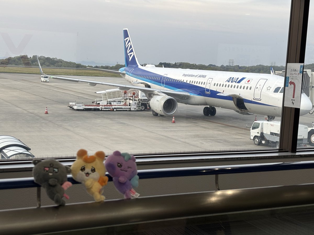 なO🐰 tweet media