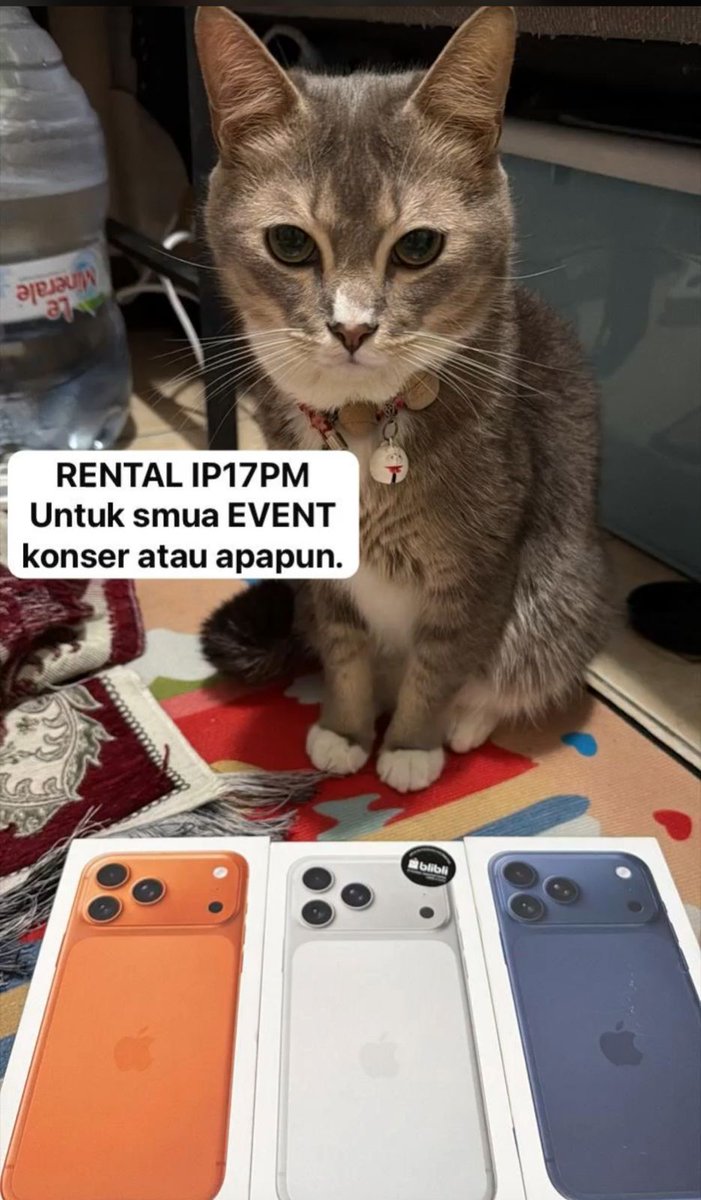 R a n tweet media