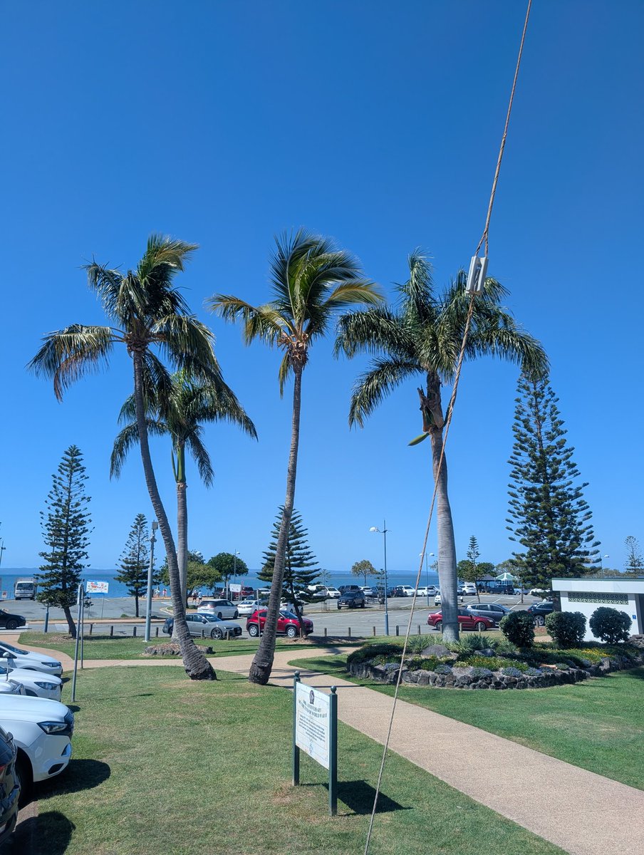 CaffExcursions's tweet photo. Half-day trip to Wellington Point, Queensland https://t.co/XDViQycyjx