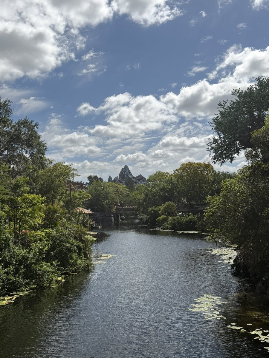 BYU Florida 🐆⚔️ tweet media