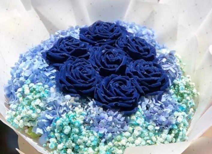 قيثارة إستثنائية 🩵 tweet media