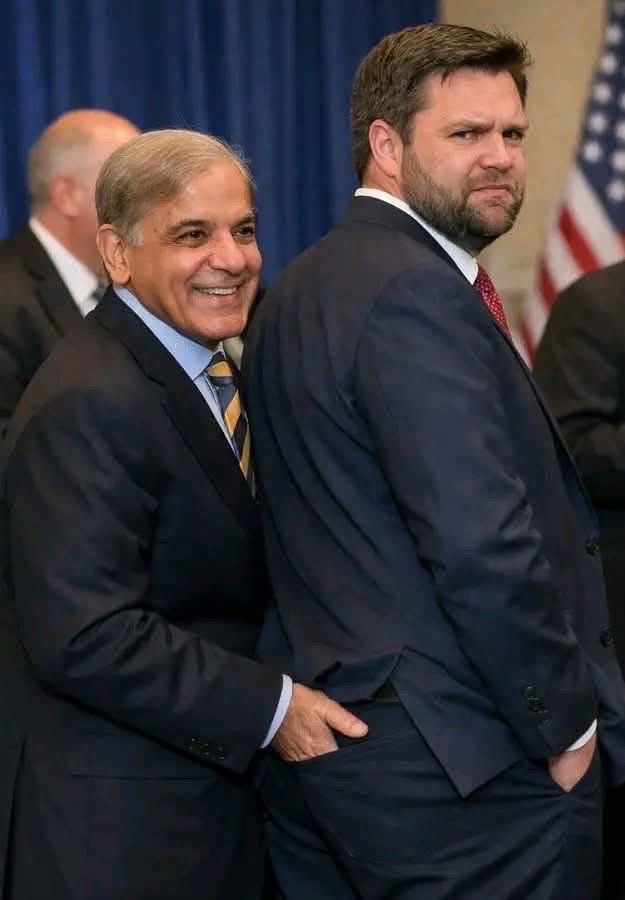 Aziz Maarij عزیز معارج tweet media