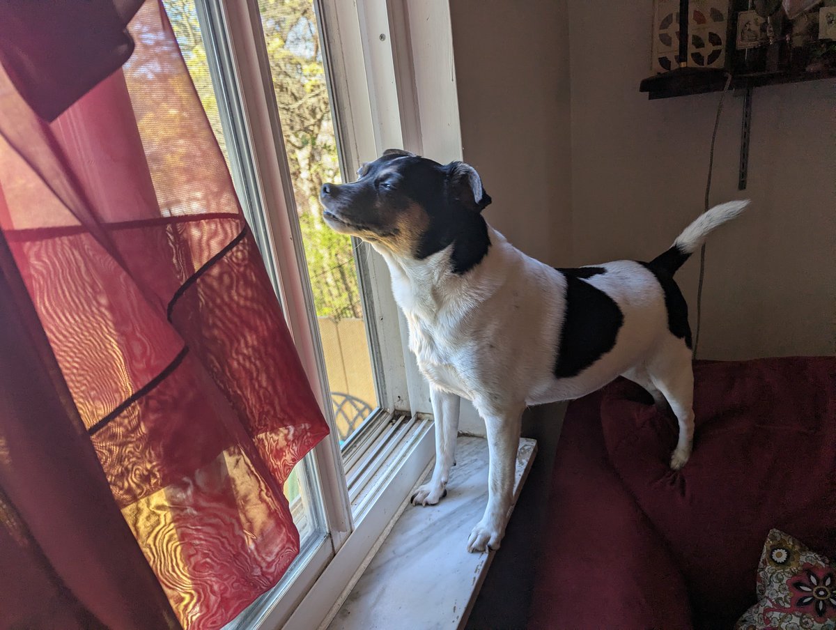 Elijah Cookie Muhammad tweet media