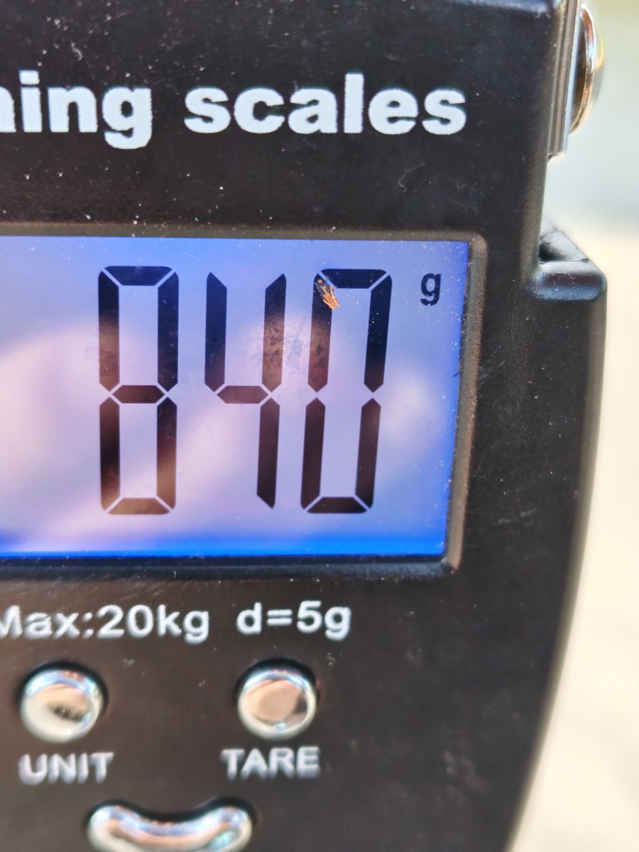 彩の国のバス釣り師 tweet media