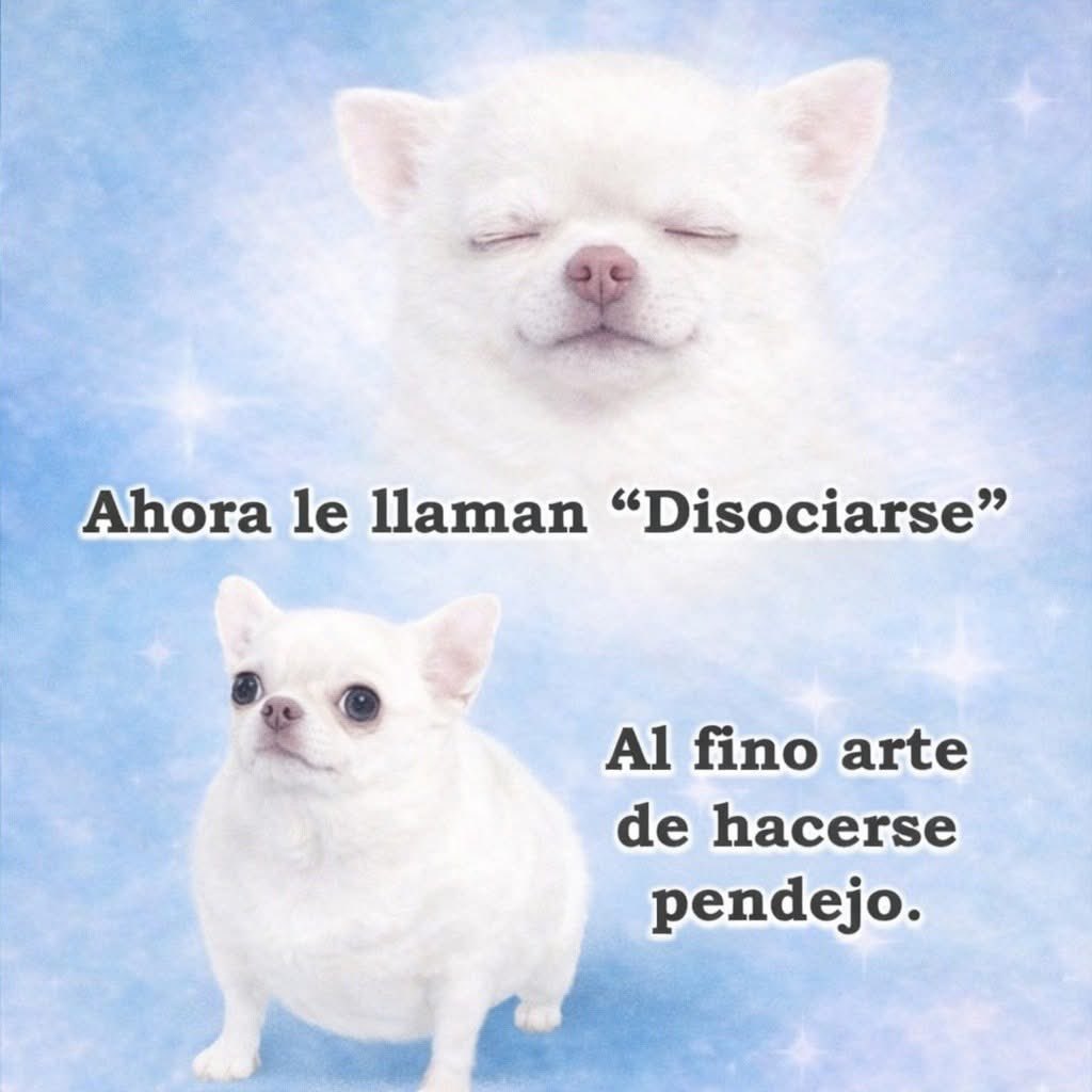 el jeringas tweet media