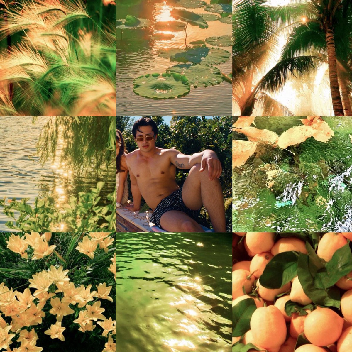 bea 🐠 tweet media