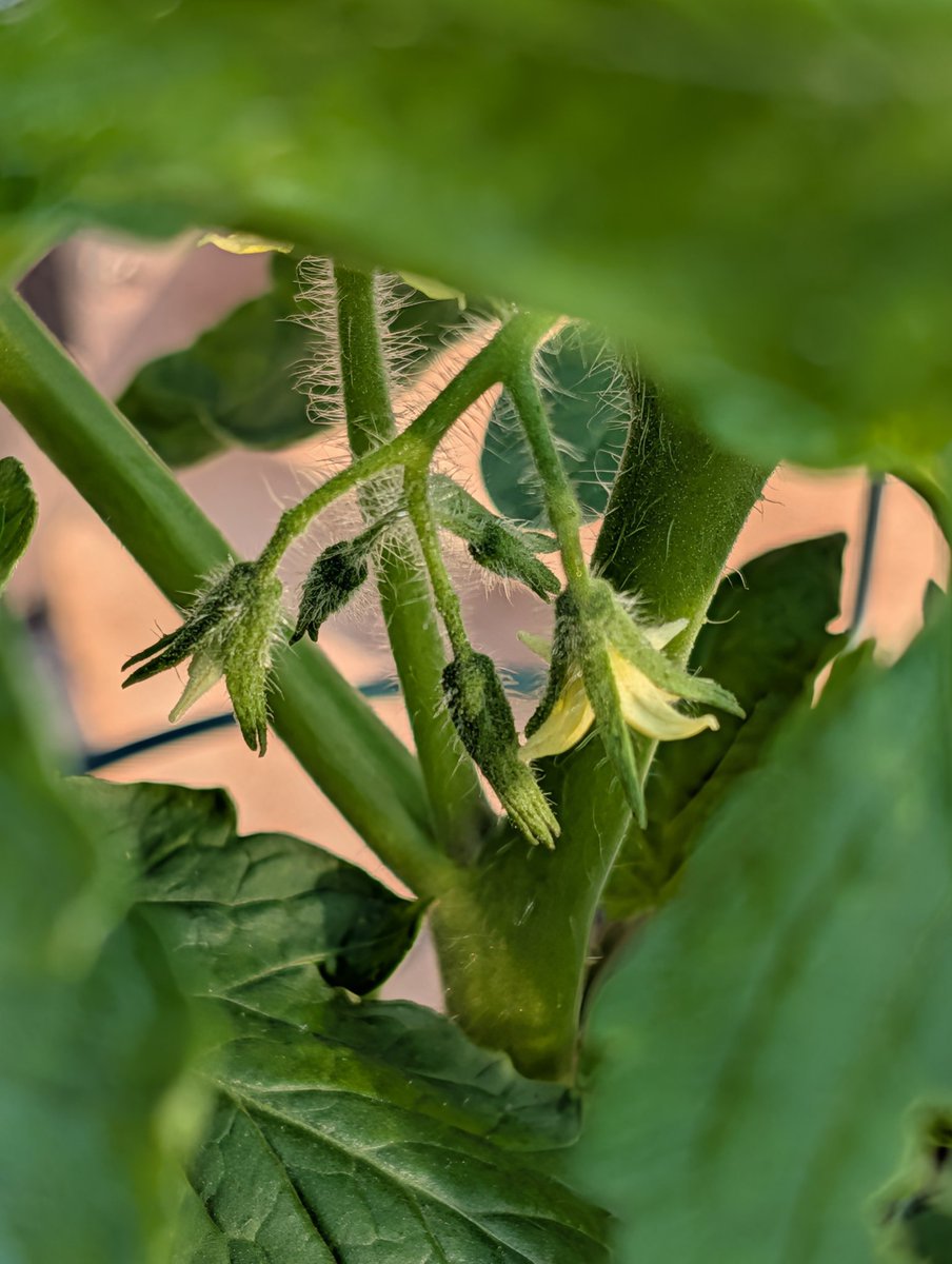 FreeAndHostile 🏴☠️ tweet media