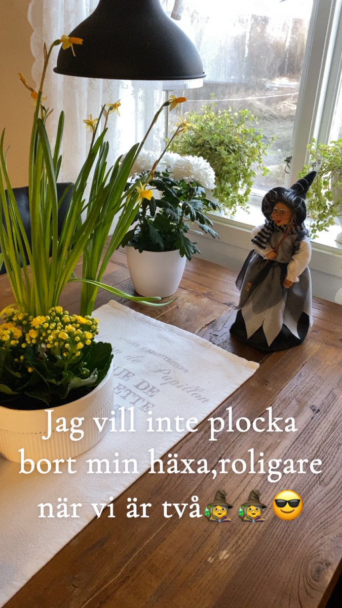 78jonAnna's tweet photo. Jag vill inte plocka bort min häxa, mycket roligare när man är två🧙‍♀️.Har ju iofs redan en kompis nedanför köksfönstret 😂😂 https://t.co/1WHy8qv0To