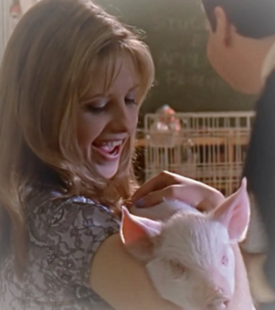 polly ꕥ tweet media